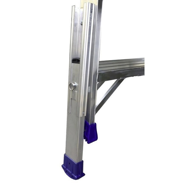 Vendita online Scala SCALISSIMA telescopica multiposizione 10+10 gradini 